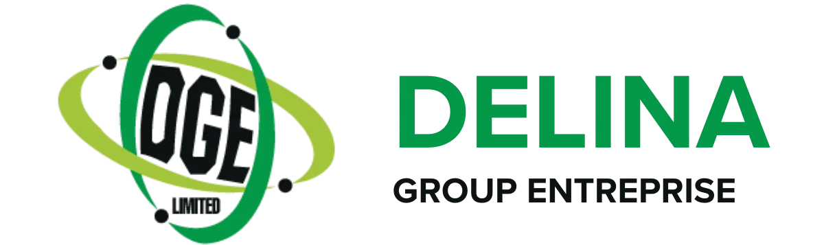 DELINA GROUP